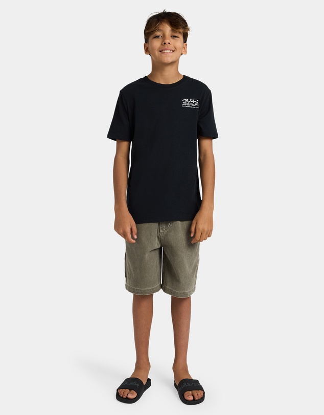 Quiksilver - Boys 8 to 16 Home Grown T-Shirt