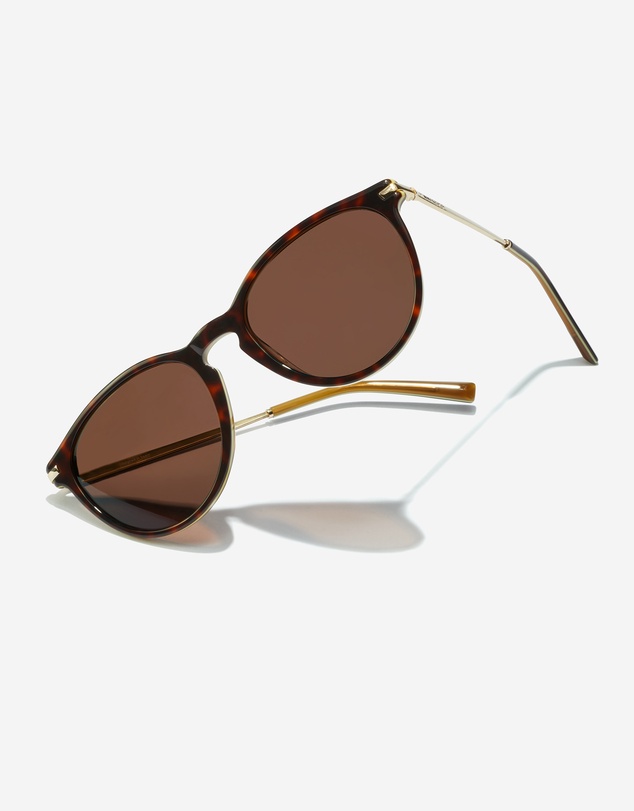 Hawkers Co - HAWKERS - Polarized Carey Brown MARK  Sunglasses for Men and Women UV400