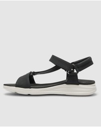 Active Flex - Native