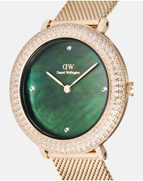 Daniel Wellington - Crystalline Bezel Evergold