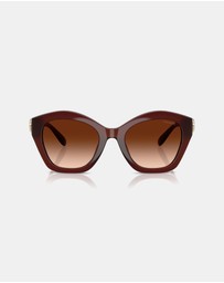 Coach - CAD31