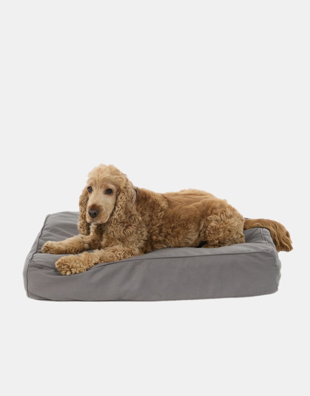 Mog & Bone - Classic Cushion Dog Bed - Mocha