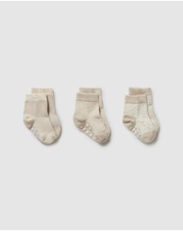 Wilson & Frenchy - 3-Pack Baby Socks - Babies