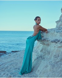 CATHERINE FERRARO - Phoebe Cowl Neck Gown