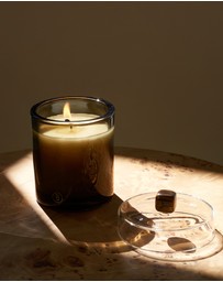 Black Blaze - Rainforest Sunlight Scented Candle