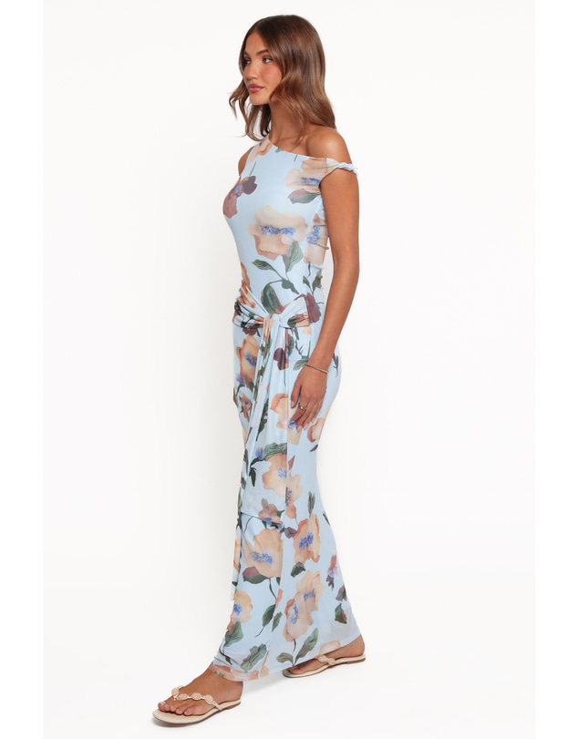 Petal & Pup - Loulani Maxi Dress - Pale Blue Floral