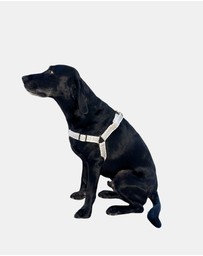 Mog & Bone - Hemp Harness - Mocha Wave