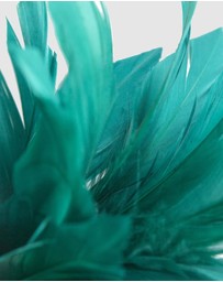 Max Alexander - Modern Teal Green Racing Fascinator