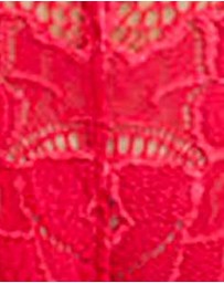 Sans Complexe - Arum Trend High Cut Lace Tanga Brief