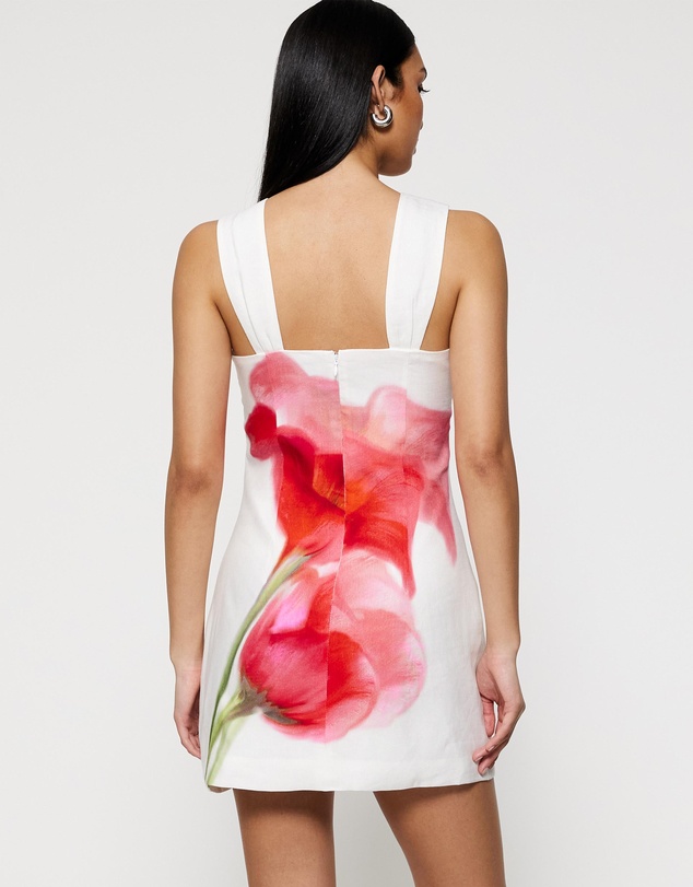 Lover - Effie V-Neck Mini Dress