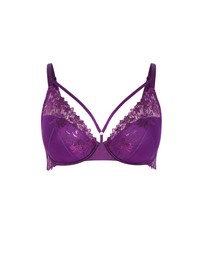 City Chic - Tara Plunge Contour Bra