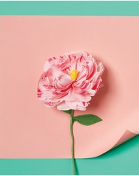 Journey Of Something - Paper Flower Making Kit