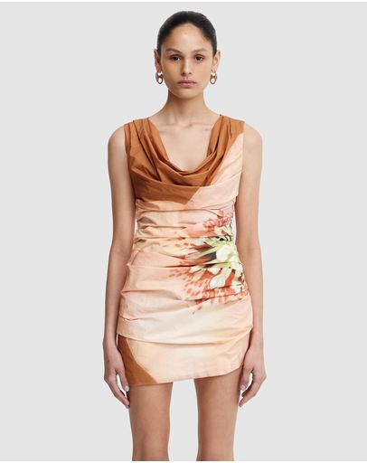 Tangerine Rose