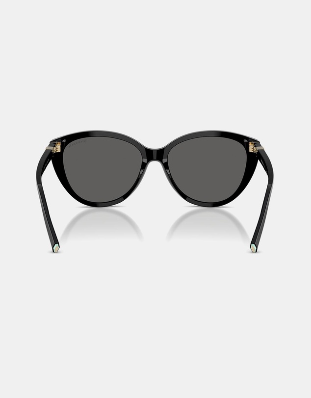 Tiffany & Co. - 0TF4251