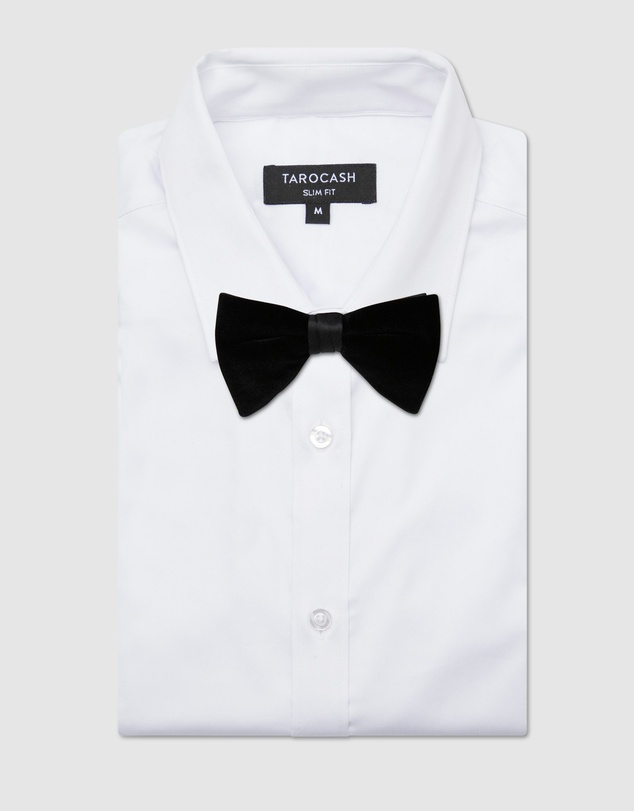 Tarocash - Maverick Velvet Bow Tie