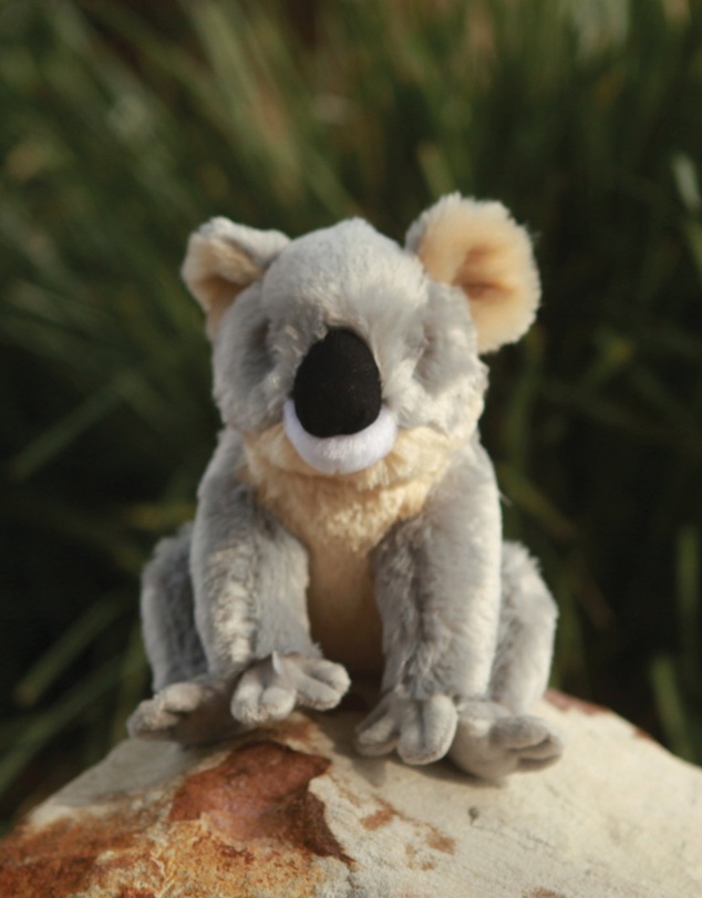 Animal Allsorts - Kobe Koala