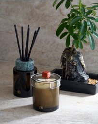 Black Blaze - Bush Walk Scented Candle