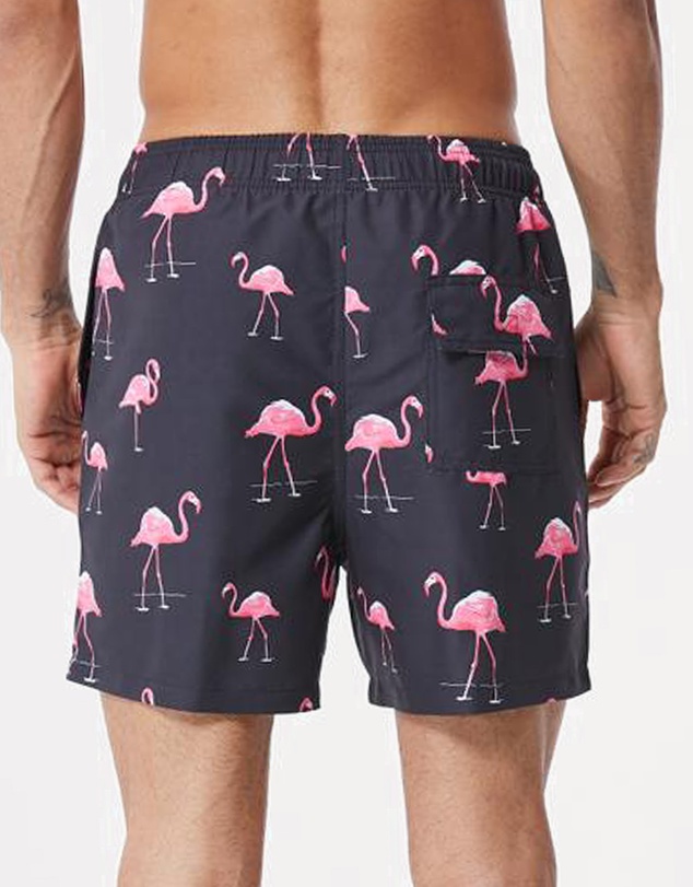 Vacancy Co - Greater Flamingo Swim Short