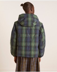 Damson Madder - Pearl Puffer