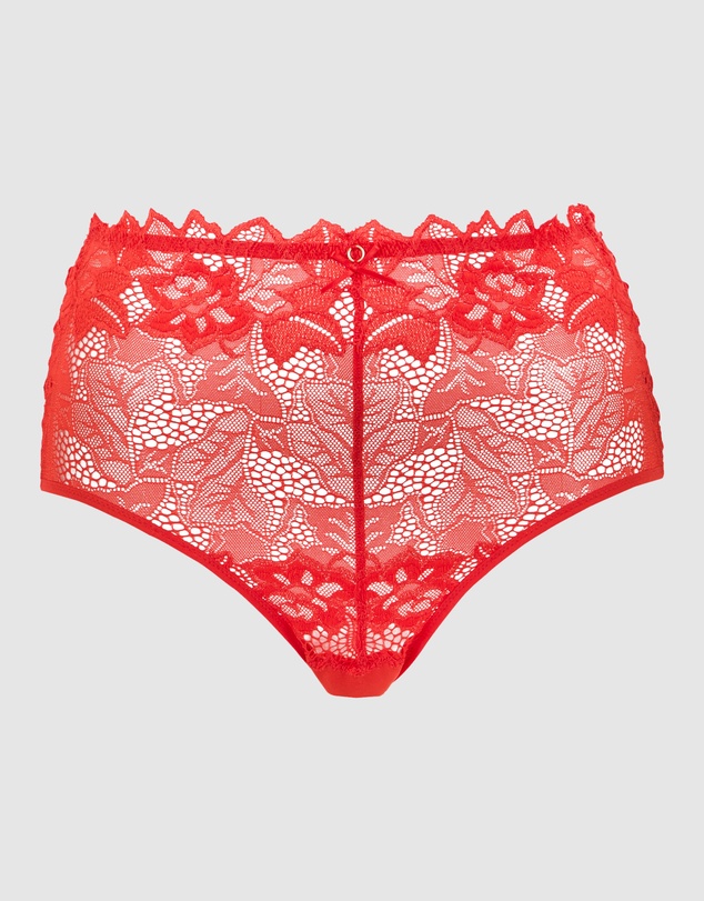 Sans Complexe - Arum Prima Mid Rise Sheer Stretch Lace Brief