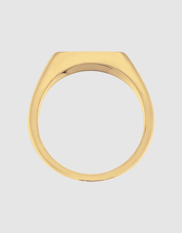 Kuzzoi - ICONIC EXCLUSIVE - Horse Signet Ring in Gold-Plated 925 Sterling Silver