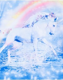 Bluesalt Beachwear - Unicorn Rash Suit