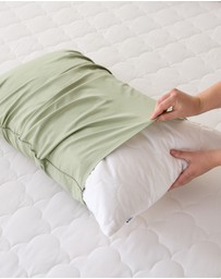 Sheet Society - Bed Basics Pillow Protector