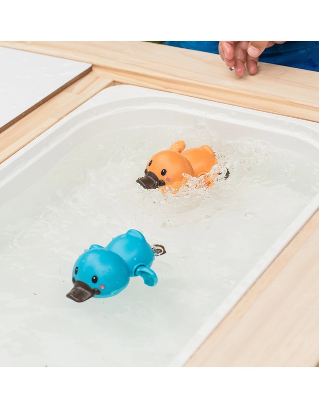 Tiger Tribe - Bath Racers - Platypuses