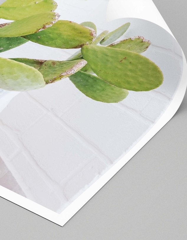 LEGGERA - Succulents of Puglia Print