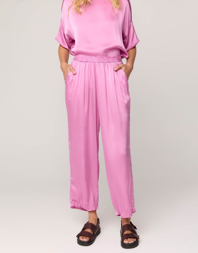 Primness - Des Pant
