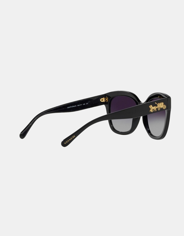 Coach - 0HC8264 L1083 Polarised