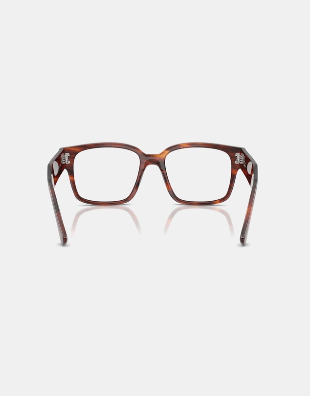 Ray-Ban Optical - Evolution