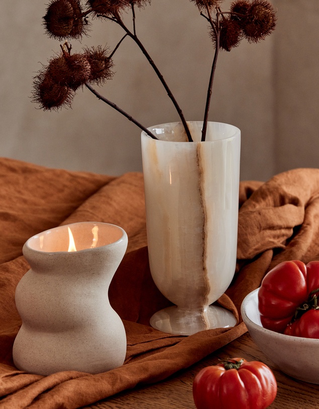 Black Blaze - Vetiver & Fig Ceramic Candle