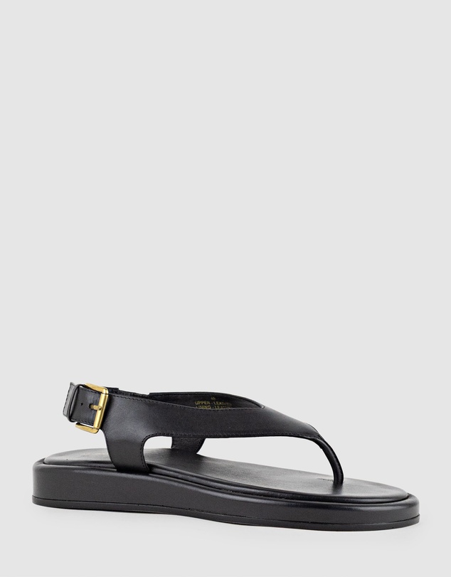 Edward Meller - TIOLA Thong Slide on Unit with Buckle