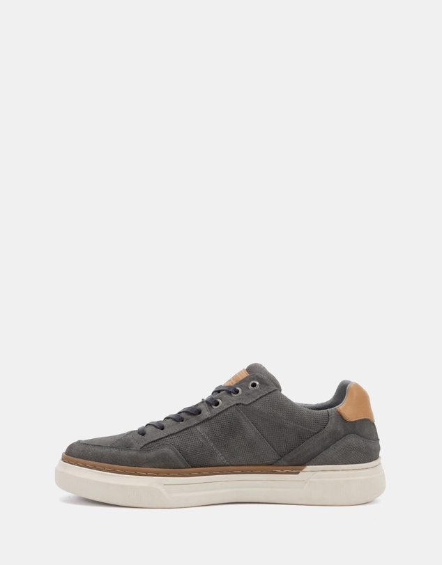 Wild Rhino - Trusted Charcoal