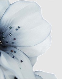 Max Alexander - Large Blue Flower Headband Fascinator