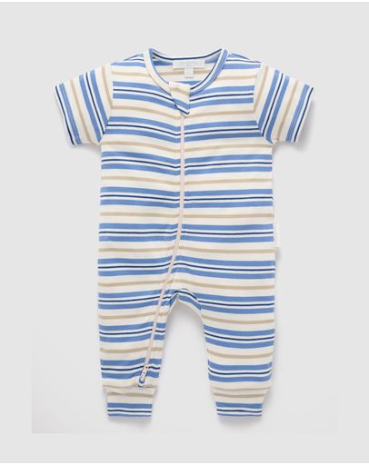 Blue Jay Beech Stripe