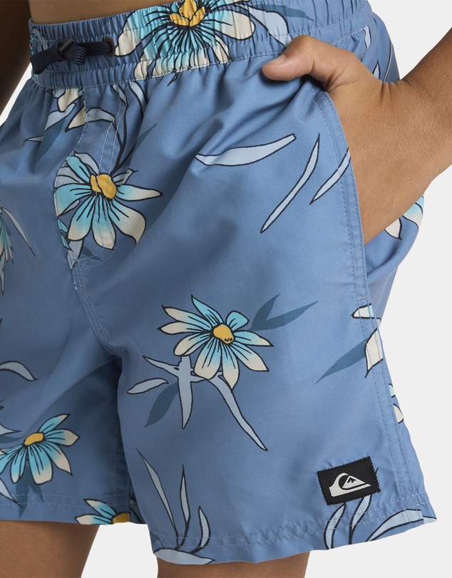Quiksilver - Boys 8 to 16 Everyday 14