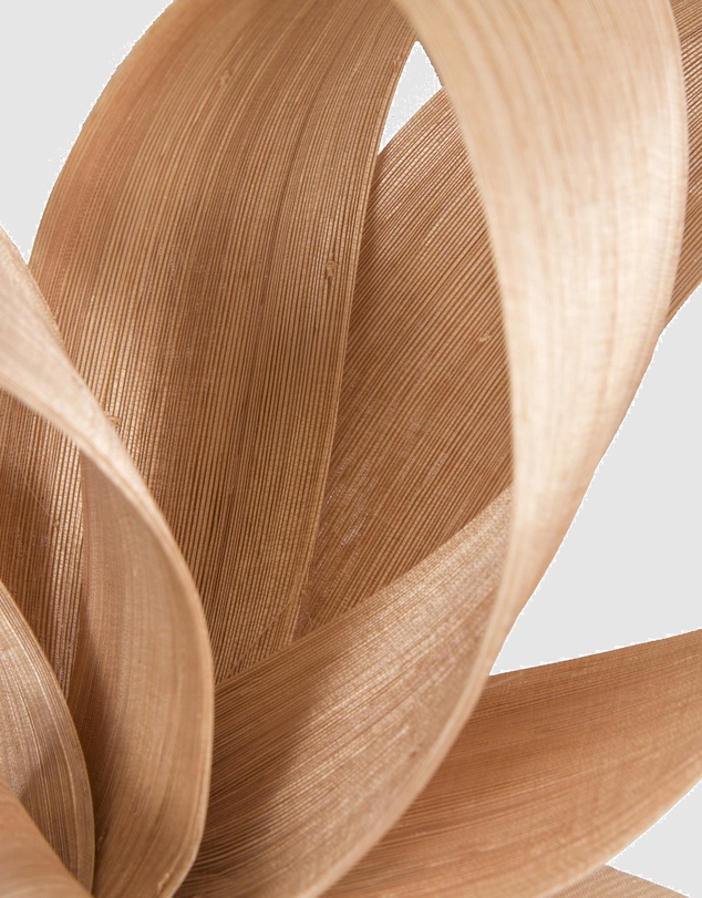 Fillies Collection - Nude Silk Abaca Loops Racing Fascinator