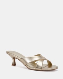 Novo - Zona Heels