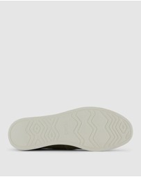 TOMS - Alpargata Plus