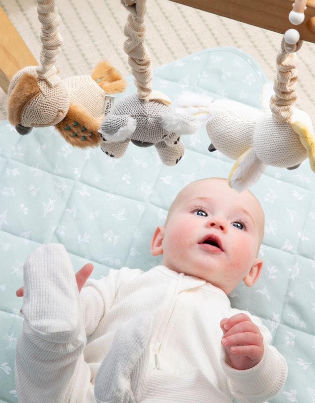 Living Textiles - 2 Pack Stroller Toys - Koala & Cockatoo
