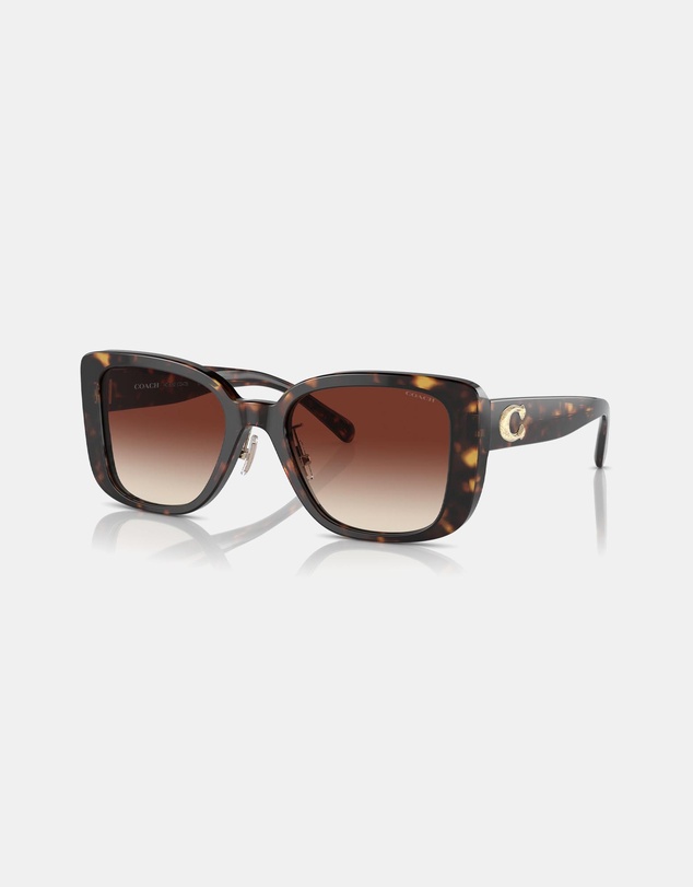 Coach - CD472