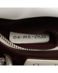 Pre-Loved by Azura Reborn - Pre-Loved Mini Embroidered Calfskin Lady Dior