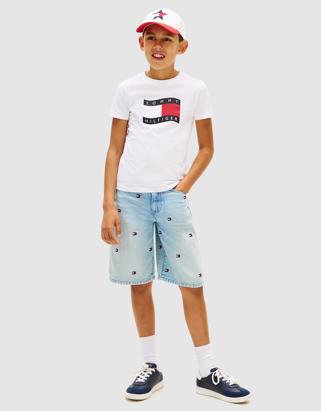 Tommy Hilfiger - Boys Wavy Flag Jersey Crew Neck T-Shirt - Teens