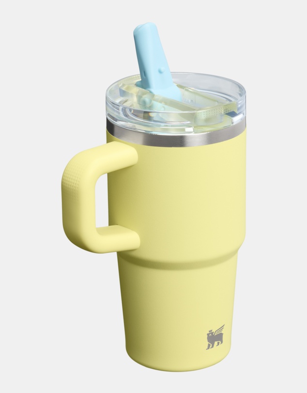 Stanley 1913 - The Quencher ProTour Flip Straw Tumbler 20oz
