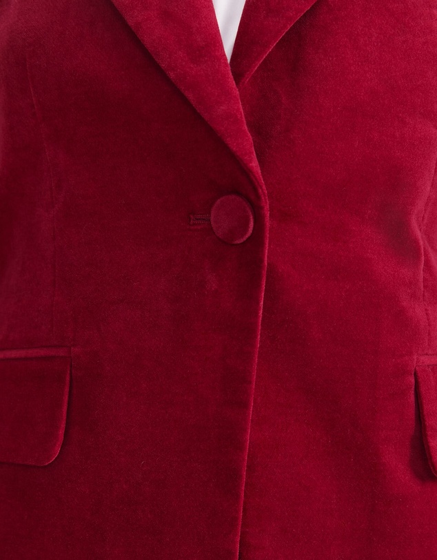 Sportscraft - Thea Velvet Blazer