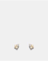 MIMCO - Opalescent Stud Earrings