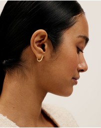 Ted Baker - Heplie Crystal Hoop Earrings (14mm)