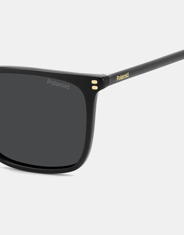 Polaroid - PLD 4207/S/X